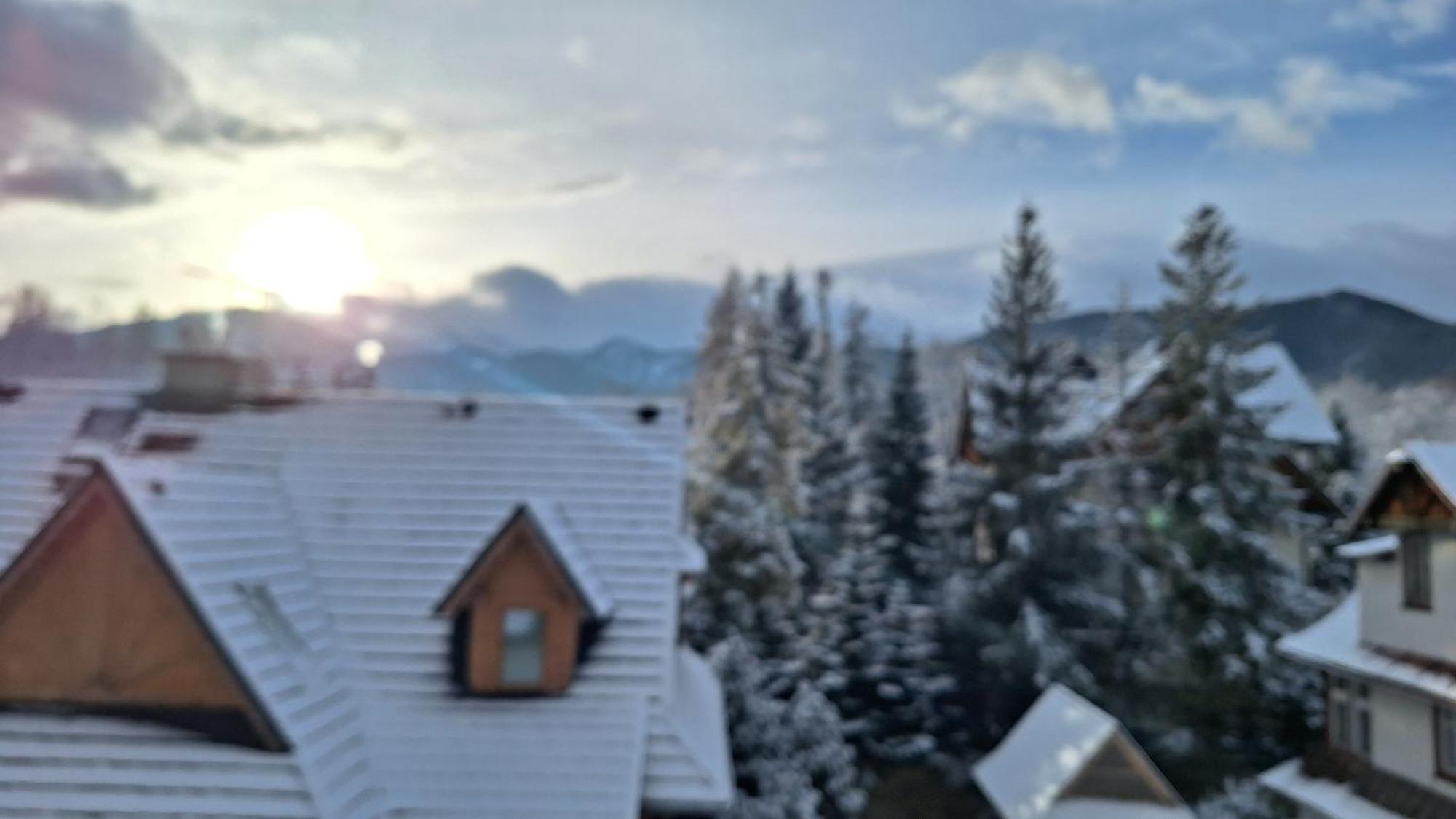 Willa U Kosle 2 Zakopane Exteriér fotografie